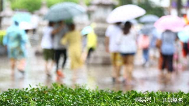 梅雨季提前来这些准备不做要吃亏爱游戏2025江浙沪入梅偏早！(图3)