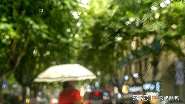 梅雨季提前来这些准备不做要吃亏爱游戏2025江浙沪入梅偏早！(图2)